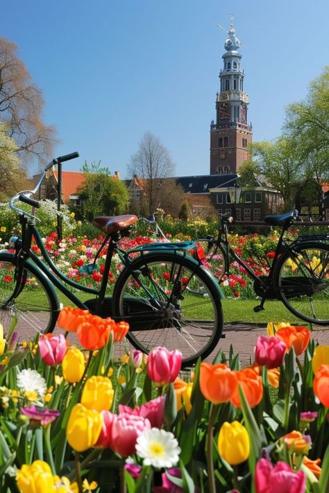 Pedal Through the Picturesque Streets of Amsterdam 🚲✨ Discover Amsterdam's charming canals and historic streets on a bike. Enjoy the city's extensive cycling paths and explore its iconic landmarks at your own pace. 🌿🇳🇱 #Amsterdam #CyclingTour #UrbanAdventure #Cityscape Amsterdam Landmarks, Amsterdam Cycling, Top Places To Travel, Cycling Tour, At Your Own Pace, Your Own Pace, Historical Landmarks, Amsterdam Netherlands, Iconic Landmarks