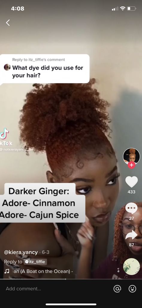 Hair Dye On 4c Hair, Cajun Spice And Cinnamon Hair Color, Adore Cinnamon Hair Color On Black Women, Dyed Brown 4c Hair, Brown Dye On Natural 4c Hair, Dyed Locs Brown, Honey Brown Hair Dye, Afro Hair Color, Adore Hair Dye