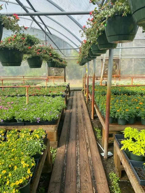 Farm Hacks, Garden Decoration Ideas, Indoor Greenhouse, Home Decor Aesthetic, Backyard Vegetable Gardens, Casa Country, Garden Wallpaper, Aesthetic Home Decor, Home Aesthetic