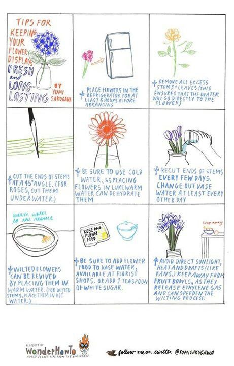 flowers Flowers From Paper, Flowers Last Longer, Long Vase, Flowers In A Vase, Amazing Life Hacks, Flower Food, Simple Life Hacks, Flower Display, Interesting Information