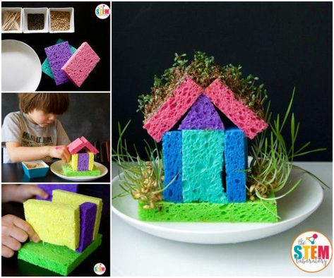 DIY Sponge House diy craft crafts diy crafts do it yourself diy projects diy and crafts Spring Science Experiments, Spring Stem Activities, Diy Sponges, Vegetable Crafts, Spring Science, How Plants Grow, Kindergarten Stem, Playdough To Plato, School 2021