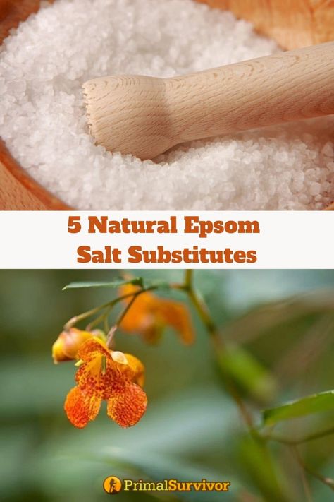 Salt Alternatives, Epsom Salt Uses, Epsom Salt Benefits, Salt Substitute, Epson Salt, Shtf Preparedness, Emergency Supplies, Emergency Prepping, Salt Life