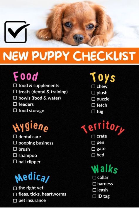 In addition to your love, your puppy needs essential supplies. This is why we prepared this New Puppy Checklist. The checklist covers everything… New Puppy Checklist Shopping, New Dog Checklist, Dog Checklist, Puppy Needs, Dog Supplies List, Puppy List, New Puppy Checklist, Puppy Checklist, Puppy Room