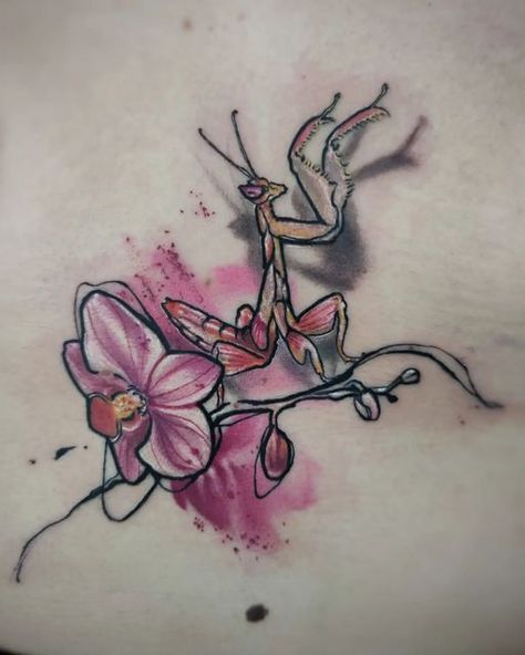 Orchid Praying Mantis Tattoo, Orchid Mantis Drawing, Orchid Mantis Tattoo, Mantis Tattoo Design, Praying Mantis Tattoo, Orchid Tattoos, Impulsive Decisions, Mantis Tattoo, Orchid Mantis