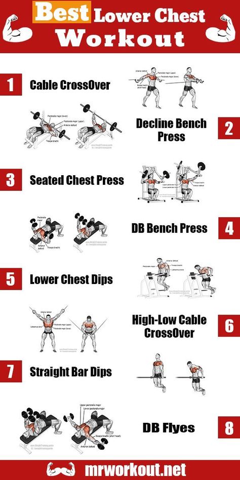 Lower Chest Exercises, Back Workout Men, Chest Workout At Home, Chest Workout For Men, Chest Workout Routine, Workout Plan For Men, Chest Exercises, Best Chest Workout, Best Workout Plan