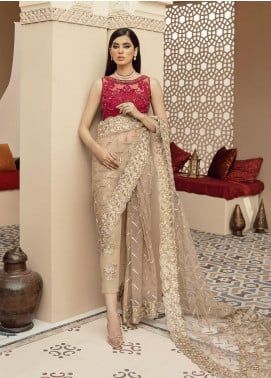 Imrozia Bridal Collection 2021 Ethereal Saree, Saree With Pants, Pant Saree, Saree Pallu, Modern Saree, Net Dress, Beautiful Pakistani Dresses, Embroidered Organza, Pakistani Dress