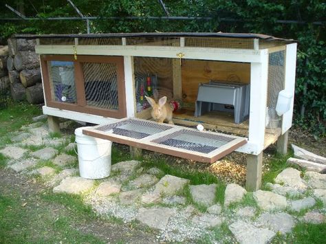 building+a+rabbit+hutch+out+of+pallets | Bought this one today off CL today for a whopping $50, but I'm using ... Double Rabbit Hutch, Rabbit Hutch Outdoor, Rabbit Cages Outdoor, Rabbit Hutch Plans, Diy Rabbit Cage, Diy Rabbit Hutch, Flemish Giant Rabbit, Outdoor Rabbit, Outdoor Rabbit Hutch