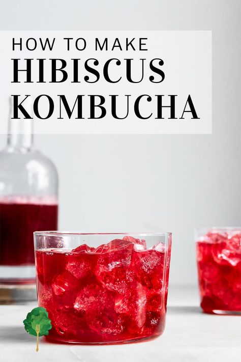 How to Make Hibiscus Kombucha (It's loaded with vitamin C!) Hibiscus Kombucha, Pineapple Kombucha, Kombucha Mother, Jun Kombucha, Make Kombucha, Kombucha Benefits, Kombucha Flavors, Kombucha Scoby, Kombucha Recipe