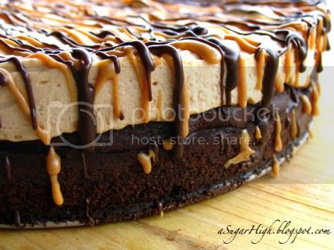 Sugar High: Brownie Bottom Peanut Butter Pie No Bake Peanut Butter Pie, No Bake Peanut Butter, Peanut Butter And Chocolate, Adventure Seeker, Brownie Desserts, Peanut Butter Cheesecake, Peanut Butter Desserts, Peanut Butter Pie, Butter Pie