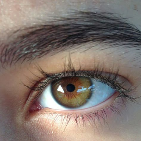 Hazel Green Eyes, Hazel Green, 얼굴 드로잉, The Dark Artifices, Eye Photography, Gray Eyes, Aesthetic Eyes, Human Eye, Hazel Eyes