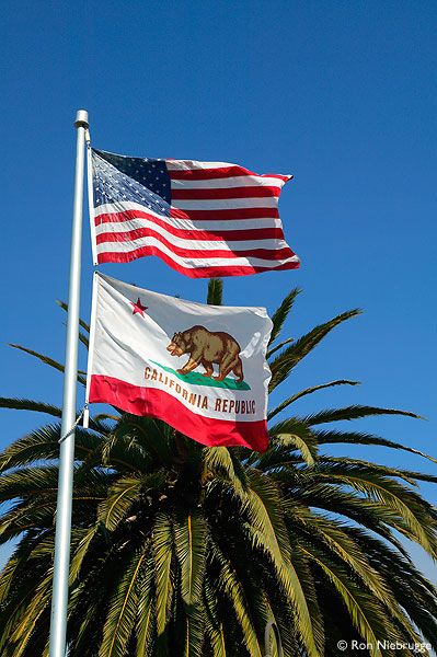 Bedroom Concept, Life In Usa, Fabric Protector, Sweet California, California State Flag, California Travel Guide, California Flag, Moodboard Inspo, Usa Trip