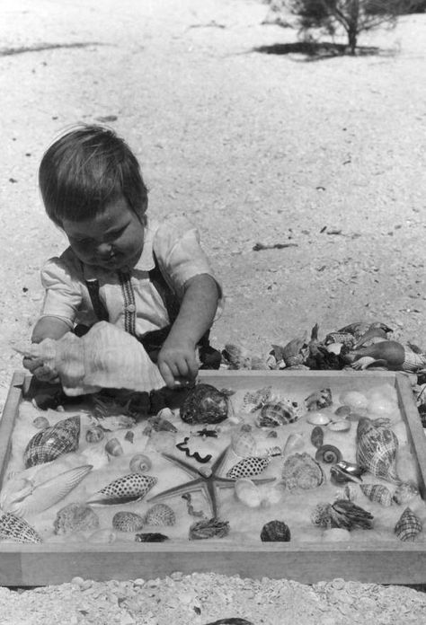 Margaret England with a collection of shells - Sanibel Island, Florida Sarasota Florida Beach, Beach Therapy, Florida History, Sanibel Island Florida, Retro Photos, Kissimmee Florida, Captiva Island, Clearwater Florida, Shell Collection