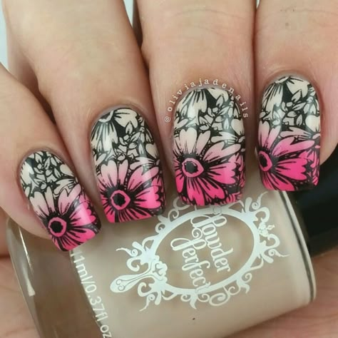 Born Pretty Store Stamping Plates & 3D Nail Art - Swatches & Review Nail Stamping Designs, Nail Stamping Ideas, Nagel Stamping, Stamped Nails, Nail Stamp, Nail Art Stamping Plates, Pretty Nail Designs, Nail Polish Art, Nail Art Stamping