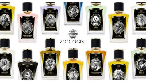 Zoologist launched many fragrances each one has a unique flavour we made the complete buyers guide to know whats your favorite Fragrance taste from zoologist. Zoologist Perfume, Indie House, Notes Project, Harvest Mouse, Fuji Apple, Snow Owl, Niche Perfume, Buyers Guide, Tyrannosaurus Rex