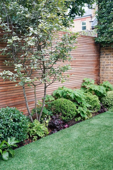 Pleached Trees, Plant Border, Simple Garden Designs, Artificial Green Wall, Bell Gardens, Garden Patio Decor, Simple Garden, Crystal Garden, Easy Landscaping