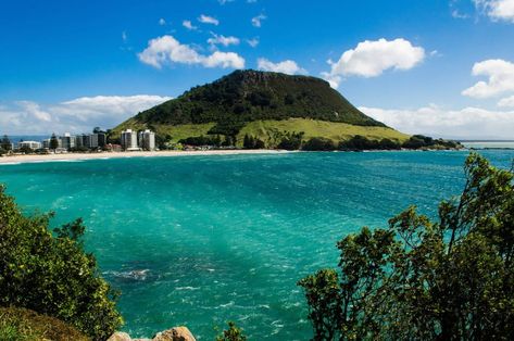 Nz Tattoo, Land Sailing, New Zealand Culture, Tauranga New Zealand, New Zealand North Island, New Zealand Beach, Mount Maunganui, New Zealand Fashion, New Zealand Adventure