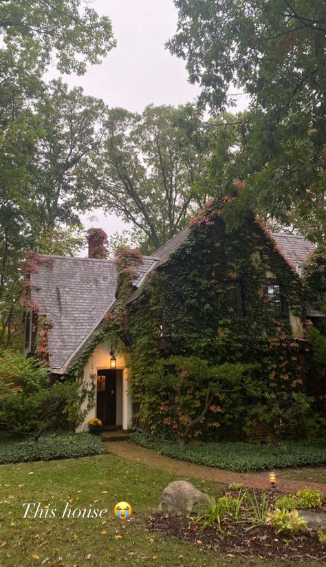 Earthy Houses Exterior, Cute Countryside House, Vintage Cottagecore House Exterior, High Society Aesthetic Modern, Old House With Vines, Cozy Old Home Aesthetic, Fall Cottage Aesthetic, Little Cottage House Interior, Oregon Home Aesthetic