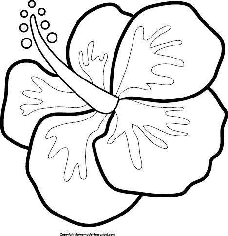 Lilo And Stitch Crafts Preschool, Luau Craft Ideas, Luau Crafts For Toddlers, Hawaiian Crafts For Toddlers, Luau Coloring Pages, Hawaiian Activities For Preschoolers, Lilo And Stitch Classroom Theme, Hawaiian Coloring Pages, Lilo And Stitch Crafts