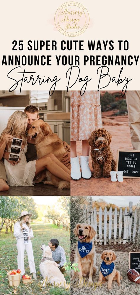 ways to announce your pregnancy with your dog Dog Expecting Puppy Announcement, Dog Baby Announcing Ideas, Cute Pregnancy Announcement With Dog, Baby Reveal With Dog, Pregnancy Cute Outfits, Free Pregnancy Announcement Template, Pregnancy Photo Announcement, Pet Gender Reveal, Dog Pregnancy Announcement Puppies