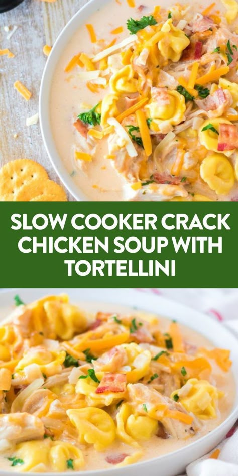 Crockpot Soups Tortellini, Slower Cooker Soup Recipes, Tortellini Chicken Soup Crockpot, Crockpot Soup Creamy, Soup Recipes Slow Cooker Tortellini, The Best Crockpot Soup Recipes, Chicken Tortellini Soup Recipes Crockpot, Chicken Soup Recipes Tortellini, Chicken Tortellini Soup Crock Pot Creamy