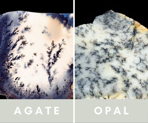 Raw Gemstones Rocks, Dendrite Opal, Silicate Minerals, Magical Stones, Types Of Opals, Precious Opal, Dendritic Opal, Dendritic Agate, Rock Collection