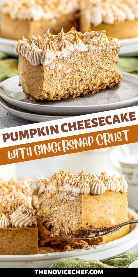 This Pumpkin Cheesecake with Gingersnap Crust is the dessert of the season! A soft, velvety pumpkin pie-like cheesecake sets atop a deliciously crunchy gingersnap crust, while classic cream cheese frosting puts the whole thing over the top. Gingersnap Pumpkin Cheesecake, Pumpkin Ginger Snap Cheesecake, Ginger Snap Cheesecake Crust, No Bake Pumpkin Cheesecake With Ginger Snap Crust, Ginger Snap Cheesecake, Ginger Snap Cookie Crust, Pumpkin Gingersnap Cheesecake, Pumpkin Cheesecake Gingersnap Crust, Gingersnap Cheesecake