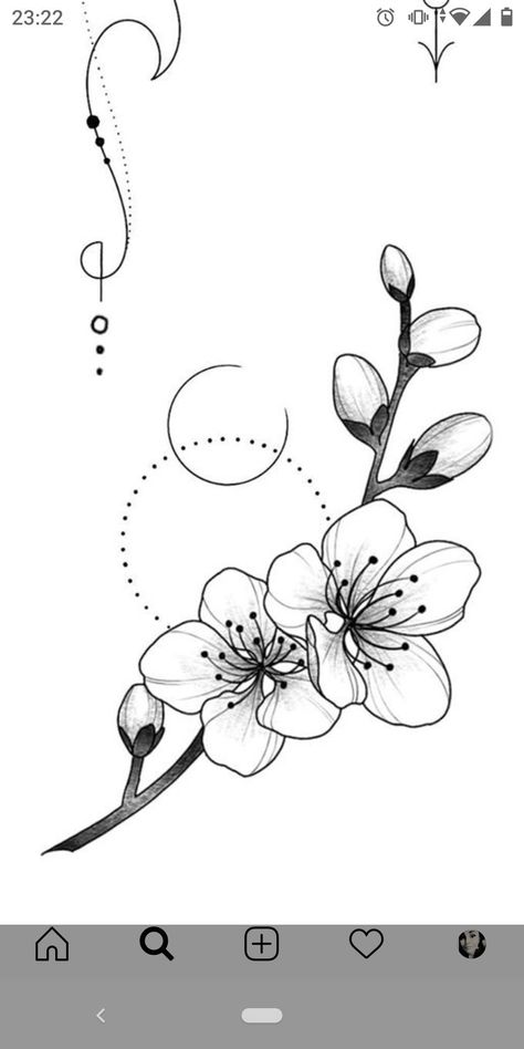 Cute Tattoos Easy, Tattoos Designs Drawings, Tattoos Easy To Draw, Floral Tattoo Design Drawings, Tattoo Design Drawings Simple, Cherry Blossom Drawing, Sakura Tattoo, Easy Flower Drawings, Flower Drawing Tutorials