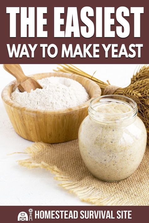 Diy Yeast, Fermenting Foods, Homemade Yeast, Yeast Starter, Sourdough Bread Starter, Dough Starter, Yeast Recipes, Bread Starter, Sourdough Starter Recipe