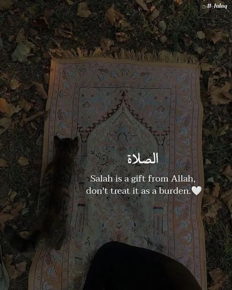 𝐀𝐥-𝐅𝐚𝐥𝐚𝐪 on Instagram: "𝐑𝐚𝐦𝐚𝐝𝐚𝐧 𝐃𝐚𝐲 13🌙🤍✨ . . Follow me @al_.falaq For daily Islamic Posts 💕💖 . . . . . . . . . . . . . . . . . . . 📸Credits to @al_.falaq…" Ramadan Day 13, Islamic Dp Quotes, Best Ramadan Quotes, Islam Aesthetic, Islam Ramadan, Al Qur'an Aesthetic, Lonliness Quotes, Appreciate Life Quotes, Islamic Wallpaper Iphone