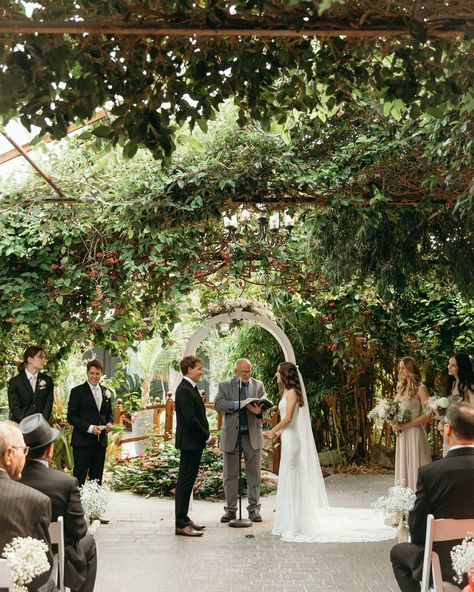 I never shared this beautiful ceremony from last year and I think it deserves to be plastered all over my feed because ARE YOU SERIOUS?!😍 Venue: @madison_greenhouse Florist: @midvalleygardensltd Wedding Venues Ontario, Greenhouse Wedding, Are You Serious, Wedding Design, Indoor Garden, Destination Wedding Photographer, Wedding Designs, Wedding Inspo, Ontario