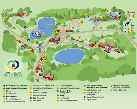 Illustrated Summer Camp Map | Behance Summer Camp Map, Summer Camp Layout, Camp Layout, Intentional Community, Illustrated Map, Map Design, Illustration Drawing, Summer Camp, Graphic Design Illustration