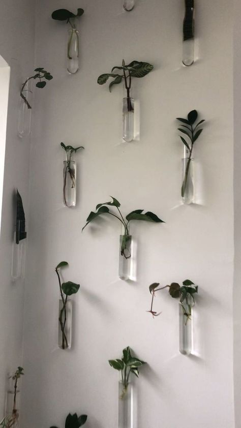 Shelves In Living Room With Plants, Plants And Lights Bedroom, Wall Vase Decor Ideas, Long Bedroom Wall Decorating Ideas, Ideas For Blank Walls Bedrooms, Aesthetic Shelf Ideas, Room Ideas With Plants, Plants On Wall, Unique Wall Ideas