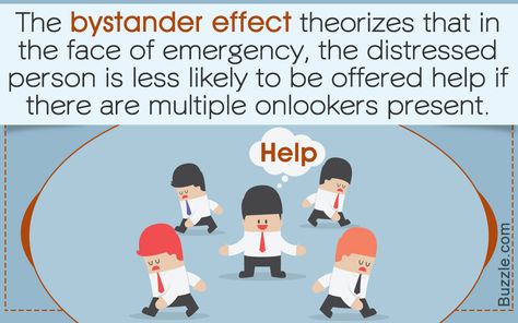 Bystander Effect, Social Experiment, New Start, Psychology Facts, Sociology, Social Issues, Other People, Soups, Psychology