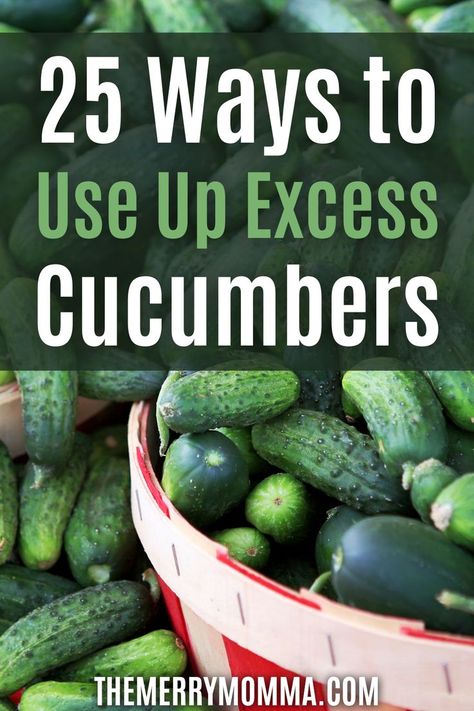 25 Ways to Use Up Excess Cucumbers Cucumber Powder Uses, Excess Cucumber Recipes, Ways To Use Up Cucumbers, What To Do With Big Cucumbers, Uses For Cucumbers, How To Use Up Cucumbers, What To Do With Excess Cucumbers, Large Cucumbers What To Do With, What To Do With Extra Cucumbers