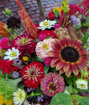 Farmers Market Bouquet, Flower Farms, Farmers Market Flowers, Bouquet Recipe, Slow Flower, Cut Flower Farm, Succession Planting, Flower Farmer, Farm Design