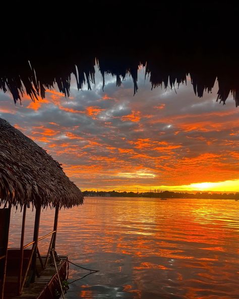 Iquitos Jessica Core, Peru Amazon, Iquitos Peru, Manifesting 2024, Vision 2025, Au Pair, Amazon Rainforest, City Landscape, River Cruises