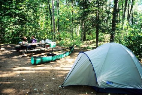 Opening A Campground, Private Campground Ideas, Starting A Campground Business, Campground Business, Campground Ideas, Camping Business, Retirement Goals, Easy Camping Hacks, Wisconsin State Parks