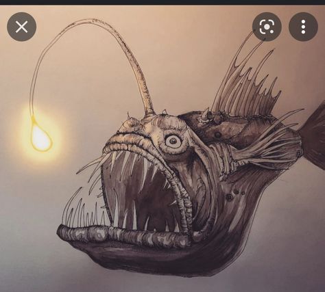 Angler Fish Illustration, Angler Fish Drawing, Angler Fish Costume, Fish Pencil Drawing, Angler Fish Art, Angler Fish Tattoo, Fish For Kids, Lantern Fish, Monster Sketch