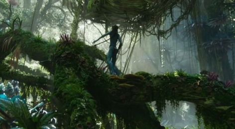 Avatar Wallpaper, Blue Avatar, Horse Exercises, Avatar The Way Of Water, Water Icon, Pandora Avatar, Avatar Movie, Avatar World, Favorite Movie