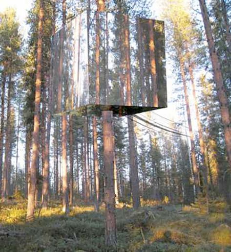 Your deer stand's got nothing on these custom hunting structures. Tree Stand Hunting, Deer Hunting Stands, Deer Stand Plans, Hunting Stands, Deer Blind, Coyote Hunting, Deer Hunting Blinds, Tree House Designs, Deer Stand