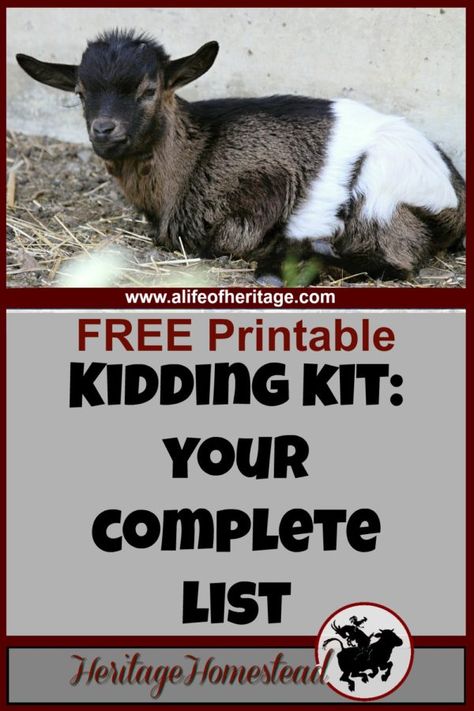 Homesteading Hacks, Suburban Homesteading, Goat Health, Hobby Farming, Modern Homestead, Goat Care, Homestead Life, Modern Homesteading, Goat Kidding