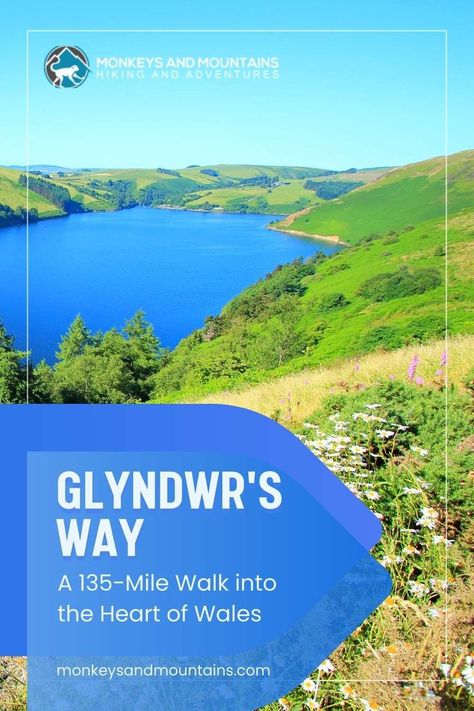 The Glyndwr’s Way is a stunning national trail taking you through moorlands, rolling farmlands, and mid-Wales forests. #glyndwrway #wales #unitedkingdom #nationaltrail #englishcountryside #englishcountrysideaesthetic #britishaesthetic #hiking Welsh People, English Countryside Aesthetic, British Aesthetic, Hiking Routes, Walking Routes, Wales Uk, Mountain Hiking, Explore Nature, English Countryside