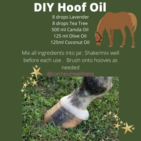 Natural Horse Hoof Care, Horse Hoof Care, Horse Hacks Diy Ideas, Horse Barn Hacks, Simple Horse Drawing, Horse Farm Ideas, Horse Barn Ideas Stables, Raising Farm Animals, Horse Hoof