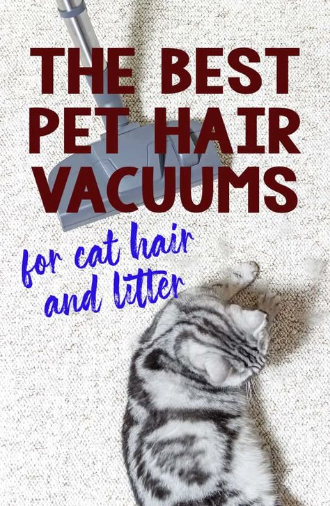 The Best Pet Hair Vacuums for Dealing With Cat Hair and Litter Pet Hair Vacuum, Pet Vacuum, Pet Brush, Pet Cleaning, Brush Roll, Best Vacuum, Canister Vacuum, Roller Brush, Upright Vacuums