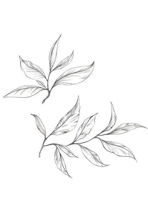 Small Leaf Drawing, Tea Leaf Drawing, Leaf Branch Drawing, Tea Leaf Tattoo, Leaves Drawing Sketches, Tea Leaf Illustration, Bay Leaf Tattoo, Minimalist Leaf Tattoo, Plant Leaf Tattoo