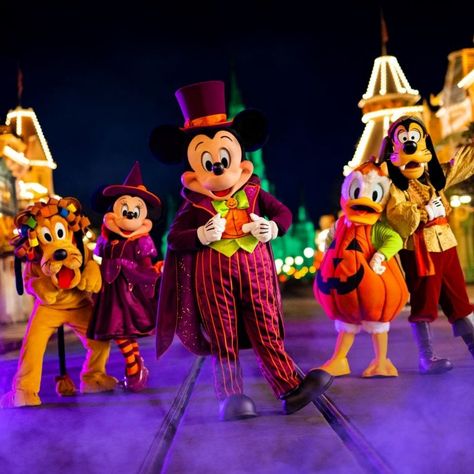 Halfway To Halloween, Halloween Party Tickets, Disney World Halloween, Disneyland Planning, Dumbo The Flying Elephant, Not So Scary Halloween, Scary Halloween Party, Halloween This Year, Disney Addict