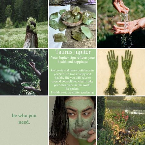 Taurus Lilith Aesthetic, Taurus Lilith, Jupiter Taurus, Taurus Jupiter, Taurus Rising Aesthetic, Taurus + Core + Aesthetic, Taurus Core, Jupiter In Taurus, Taurus Aesthetic