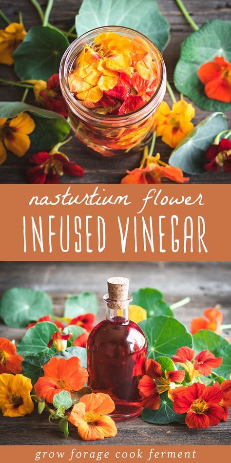 When you have nasturtiums growing in your garden make this nasturtium flower infused vinegar! It has a gorgeous color and peppery flavor and can be used to make a wonderful and nutritious salad dressing. Nasturtium Flower, Vinegar Recipes, Flavored Vinegars, Infused Vinegars, Edible Flowers Recipes, Dandelion Jelly, Herbal Recipes, Healthy Summer Recipes, Dandelion Recipes