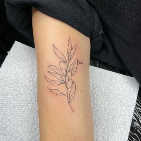 Olive Branch Tattoo Arm Wrap Simple, Olive Branch Tattoo Linework, Olive Brand Tattoo, Olive Branch Tattoo Shoulder, Minimal Olive Branch Tattoo, Olive Branch Line Art, Olive Branch Wrist Tattoo, Fine Line Olive Branch, Small Olive Branch Tattoo