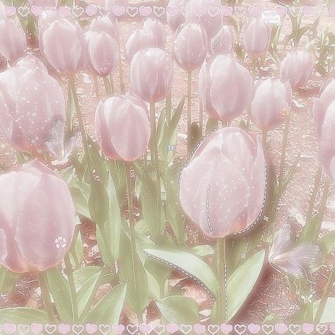 Pink Bg, Beauty Planet, Pink Nature, Soft Pink Theme, Pink Images, Baby Pink Aesthetic, Kawaii Core, Aesthetic Japan, Pastel Pink Aesthetic